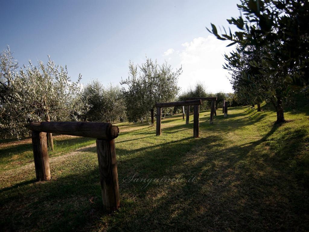 Agriturismo Sanguineto Acquaviva  Ngoại thất bức ảnh