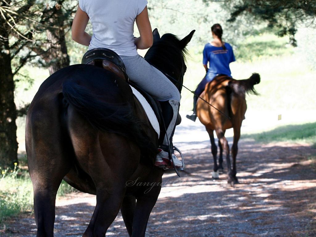 Agriturismo Sanguineto Acquaviva  Ngoại thất bức ảnh