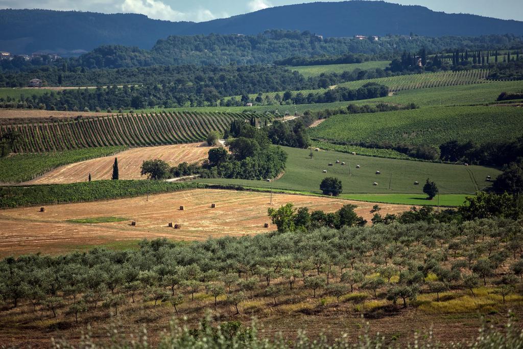 Agriturismo Sanguineto Acquaviva  Ngoại thất bức ảnh