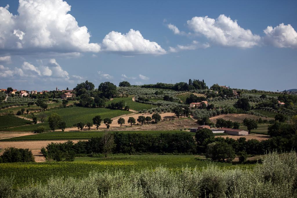 Agriturismo Sanguineto Acquaviva  Ngoại thất bức ảnh